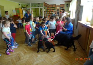 Dzieci stoją wokół piesków, niektórzy je głaszczą.