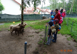 Dzieci podziwiają zwierzęta.