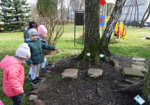 Ogród przedszkolny wczesną wiosną. Czworo dzieci przy skalniaku obserwuje rośliny. Chłopiec wskazuje na roslinę. W tle plac zabaw dla dzieci.