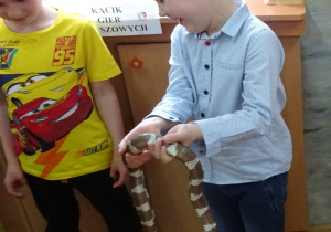 Dwóch chłopców. Jeden z nich trzyma węża.
