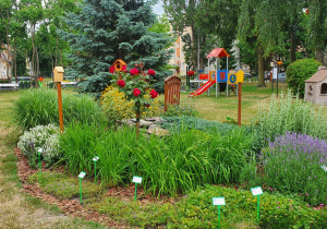 Ogródek przedszkolny.