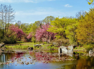 Wycieczka do Ogrodu Botanicznego