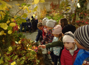 Wycieczka do Ogrodu Botanicznego