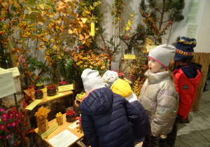 Dzieci oglądają dary jesieni.