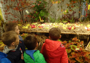 Dzieci podziwiają różne odmiany jabłek.