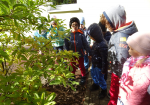 Dzieci stoją przed krzewem i przygotowują się do nasadzania roślin.
