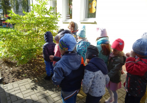 Dzieci stoją przed krzewem i przygotowują się do nasadzania roślin.