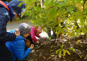 Dzieci nasadzają rośliny.