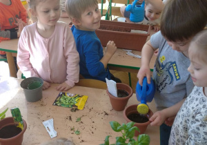 Dzieci przygotowują się do nasadzeń.