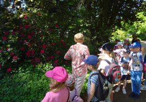 Dzieci wraz z przewodnikiem podziwiają rośliny.