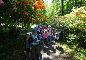 Dzieci spacerują wśród różaneczników.