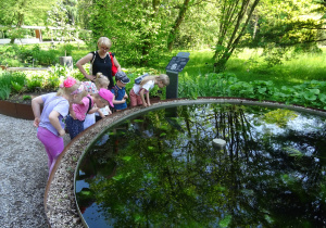 Dzieci z opiekunem podziwiają rośliny w wodzie.
