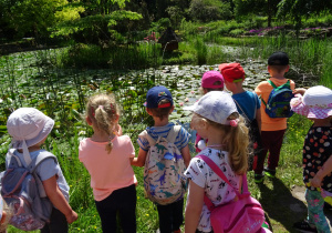 Dzieci podziwiają rośliny w stawie.