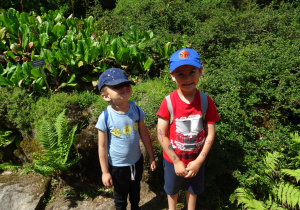 Dwóch chłopców stoi przy roślinach.