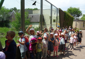 Dzieci zwiedzają Zoo.