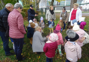 Przedszkolaki z dziadkami nasadzają rośliny.