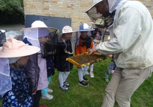 Dzieci w strojach pszczelarskich, pszcelarz prezentuje ramkę z pszczołami.