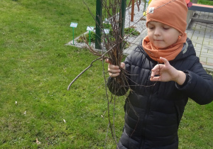 Udział w akcji "Galante Sprzątanie".