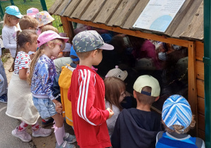 Dzieci zwiedzają mini zoo w Dobroniu.