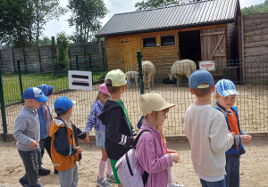 Dzieci zwiedzają mini zoo w Dobroniu.