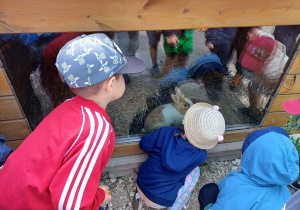 Dzieci zwiedzają mini zoo w Dobroniu.