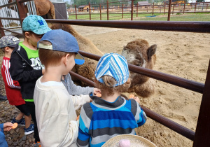 Dzieci zwiedzają mini zoo w Dobroniu.