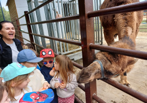 Dzieci zwiedzają mini zoo w Dobroniu.