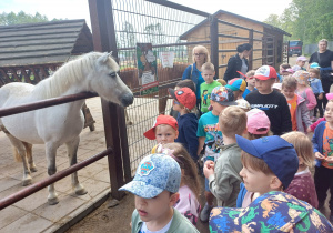 Dzieci zwiedzają mini zoo w Dobroniu.