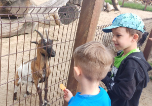 Dzieci zwiedzają mini zoo w Dobroniu.