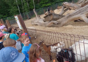 Dzieci zwiedzają mini zoo w Dobroniu.