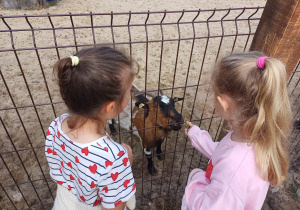 Dzieci zwiedzają mini zoo w Dobroniu.