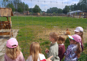 Dzieci zwiedzają mini zoo w Dobroniu.