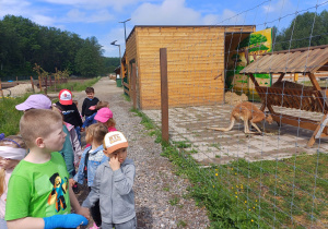 Dzieci zwiedzają mini zoo w Dobroniu.