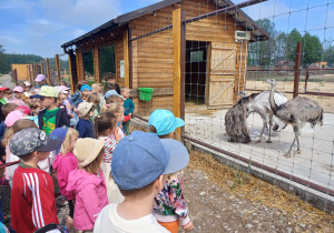 Dzieci zwiedzają mini zoo w Dobroniu.