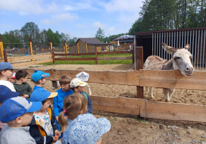 Dzieci zwiedzają mini zoo w Dobroniu.