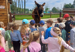 Dzieci zwiedzają mini zoo w Dobroniu.