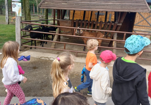 Dzieci zwiedzają mini zoo w Dobroniu.