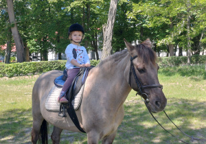 Dziewczynka w fioletowych getrach jedzie konno.