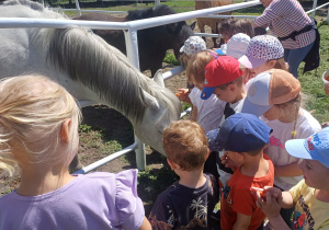 Dzieci karmią konie.