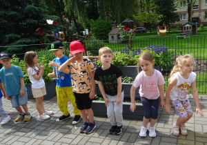 Zdjęcie 9 na 17
