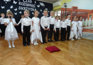 Zdjęcie 5 na 15