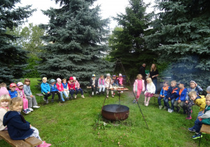 Zdjęcie 35 na 55