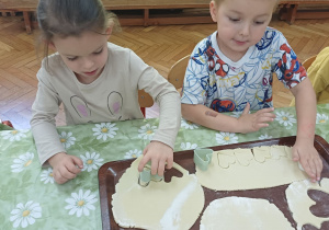 Zdjęcie 2 na 35
