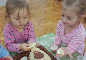 Zdjęcie 3 na 35