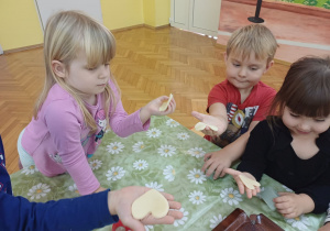 Zdjęcie 4 na 35