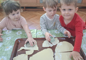 Zdjęcie 35 na 35