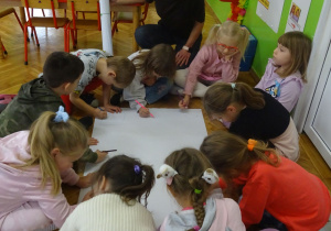 Zdjęcie 9 na 14