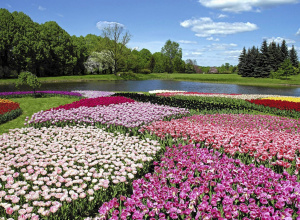 Ogród Botaniczny.