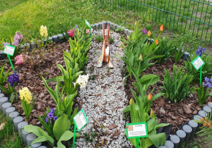 Tulipany, hiacynty, zając.