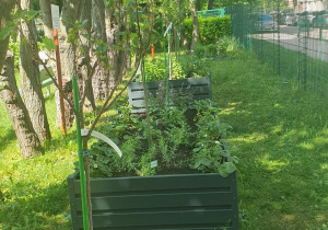 Zdjęcie 20 na 22